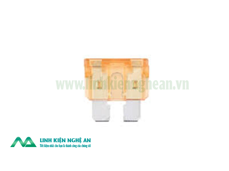 Cầu Chì Xe Máy 30A